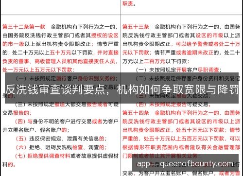反洗钱审查谈判要点，机构如何争取宽限与降罚